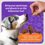 Blue Buffalo Boo Bites Chicken Flavored Dog Treats 4.5 OZ - Image 8