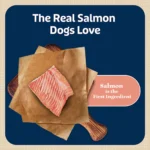 Blue Buffalo® Bits Soft & Chewy Puppy Training Treats - Salmon, 4 oz - Image 3