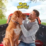 Pup -Peroni Dog Treat All Ages - Beef - Image 6