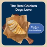 Blue Buffalo® Bits Soft & Chewy All Life Stages Dog Training Treats - Chicken, 11 oz - Image 3