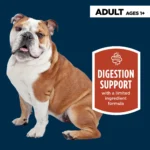 Authority Digestive Support Adult Wet Dog Food - Chicken with Pumpkin, 10 oz - Image 2