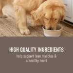 Simply Nourish® Adult Wet Dog Food - 10 Oz., Stew - Image 3