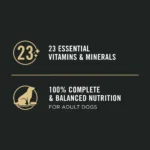Purina® Pro Plan Sensitive Skin & Stomach Adult Wet Dog Food - Classic Pate, Salmon & Rice, 13 oz - Image 6