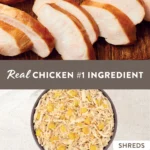 Simply Nourish Gut Health Recipe Adult Dog Food - Chicken & Pumpkin, 10 OZ - Image 2