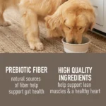 Simply Nourish Gut Health Recipe Adult Dog Food - Chicken & Pumpkin, 10 OZ - Image 3