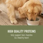 Simply Nourish® Original Adult Wet Dog Food - 10 Oz., Stew - Image 3