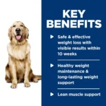 Hill's® Science Diet® Perfect Weight Adult Wet Dog Food - Vegetable & Chicken Stew, 12.5 oz - Image 6