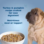 Bil-Jac Sensitive Solutions Digestive & Immune Support Adult Wet Dog Food - Turkey & Pumpkin - Image 3