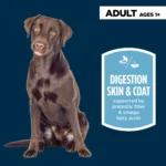 Authority Sensitive Stomach & Skin Turkey Entree Adult Wet Dog Food - 13 oz - Image 2