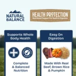 Natural Balance Health Protection Adult Wet Dog Food - Beef & Pumpkin Stew, 12.5 oz. - Image 3