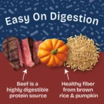 Natural Balance Health Protection Adult Wet Dog Food - Beef & Pumpkin Stew, 12.5 oz. - Image 4