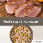Simply Nourish Adult Wet Dog Food - Lamb & Vegetable in Broth, 10 oz - Image 2