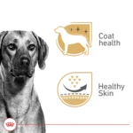 Royal Canin Canine Health Nutrition Adult Dog Wet Food - 13.5 oz - Image 2