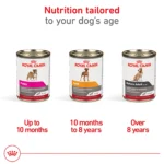 Royal Canin Canine Health Nutrition Adult Dog Wet Food - 13.5 oz - Image 4