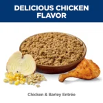 Hill's® Science Diet® Senior 7+ Wet Dog Food - Chicken & Barley, 13 oz - Image 4