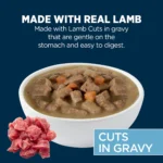 Authority Sensitive Stomach & Skin Cuts in Gravy Adult Wet Dog Food - Lamb, 13 oz - Image 3