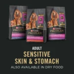 Purina® Pro Plan Sensitive Skin & Stomach Adult Wet Dog Food - Classic Pate, Lamb & Oat Meal, 13 oz - Image 6