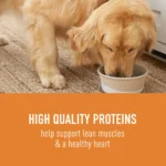 Simply Nourish® Source Adult Wet Dog Food - 10 Oz., Stew - Image 3