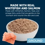 Authority Sensitive Stomach & Skin Whitefish & Salmon Entree Adult Wet Dog Food - 13 oz - Image 3