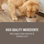 Simply Nourish Adult Wet Dog Food - Salmon, Chicken & Rice Stew, 10 oz - Image 3