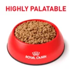 Royal Canin Gastrointestinal Low Fat Loaf in Sauce Adult Dog Wet Food - 13.5 oz - Image 3