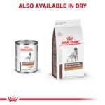 Royal Canin Gastrointestinal Low Fat Loaf in Sauce Adult Dog Wet Food - 13.5 oz - Image 5