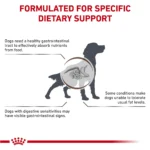 Royal Canin(R) Veterinary Diet Canine Gastrointestinal Adult Dry Dog Food - Low Fat - Image 3
