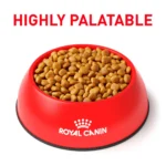 Royal Canin® Veterinary Diet Canine Urinary SO Adult Dry Dog Food - Image 3