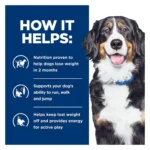 Hill's® Prescription Diet® Metabolic + Mobility Weight + Joint Adult Dog Food - Chicken - Image 5