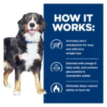 Hill's® Prescription Diet® Metabolic + Mobility Weight + Joint Adult Dog Food - Chicken - Image 6