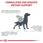 Royal Canin(R) Veterinary Diet Satiety Support Adult Dry Dog Food - Weight Management - Image 3