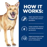 Hill's® Prescription Diet® i/d Digestive Care Adult Dog Food - Chicken & Vegetable Stew - Image 6
