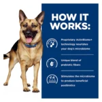 Hill's® Prescription Diet® Gastrointestinal Biome Digestive Fiber Adult Dog Food - Chicken - Image 6