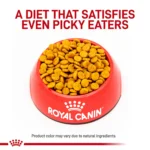 Royal Canin® Veterinary Diet Canine Hydrolyzed Protein Adult Small Dog Dry Dog Food - Image 2