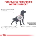 Royal Canin® Veterinary Diet Canine Renal Support D Adult Dog Slices in Gravy Wet Food  13 oz can - Image 4