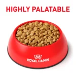 Royal Canin® Veterinary Diet Canine Urinary SO Small Breed Adult Dog Dry Food - 8.8 lb - Image 3