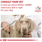 Royal Canin® Veterinary Diet Canine Urinary SO Adult Dog Loaf in Sauce Wet Food  13.5 oz can - Image 7
