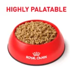 Royal Canin® Veterinary Diet Canine Renal Support E Adult Dog Loaf in Sauce Wet Food  13.5 oz can - Image 2