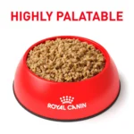 Royal Canin® Veterinary Diet Canine Renal Support E Adult Dog Loaf in Sauce Wet Food  13.5 oz can - Image 3