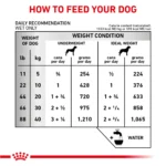 Royal Canin® Veterinary Diet Canine Renal Support E Adult Dog Loaf in Sauce Wet Food  13.5 oz can - Image 6