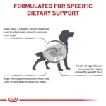 Royal Canin® Veterinary Diet Canine Gastrointestinal Adult Dry Dog Food - Image 4