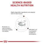 Royal Canin® Veterinary Diet Canine Gastrointestinal Adult Dry Dog Food - Image 5