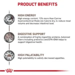 Royal Canin® Veterinary Diet Canine Gastrointestinal Adult Dry Dog Food - Image 6