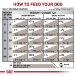 Royal Canin® Veterinary Diet Canine Gastrointestinal Adult Dry Dog Food - Image 9
