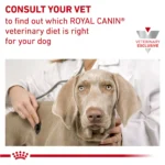 Royal Canin® Veterinary Diet Canine Gastrointestinal Adult Dry Dog Food - Image 10