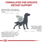 Royal Canin® Veterinary Diet Canine Glycobalance Adult Dry Dog Food - Image 3