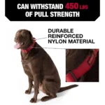 KONG® Handle Dog Collar - Image 2