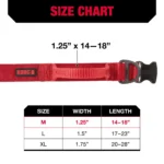 KONG® Handle Dog Collar - Image 5