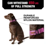 KONG® Chew Resistant Dog Collar - Image 2