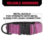 KONG® Chew Resistant Dog Collar - Image 4